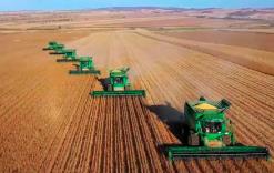 内蒙古呼伦贝尔800万亩玉米开镰 多项农技赋能单产创新高