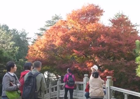 金秋时节“邂逅”绝美自然画卷 以“景”为媒打造文旅消费盛宴