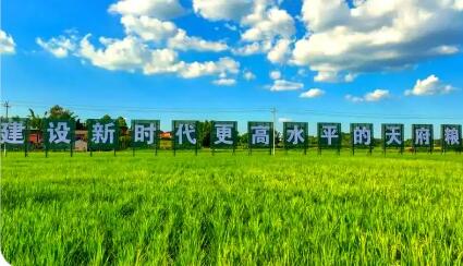 四川“天府粮仓”建设成势见效