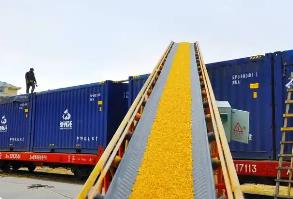 决胜“最后一公里” 构建粮食外运新通道