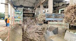 广西持续优化营商环境 经营主体发展稳中向好