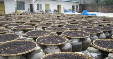 广东运用金融工具赋能地理标志产业发展