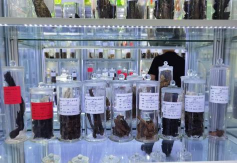 一粒“中药”如何叩开“世界之门”？