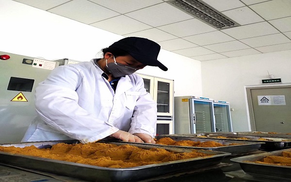  光而不耀固本质 静水流深潜心笃——记楚雄复烤厂生产技术室质检员沈丽 
