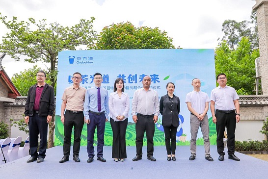  茶百道：联手“世界滇红之乡”打造红茶基地