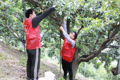丽水青田县烟草专卖局：奋进新时代 书写无悔青春篇章