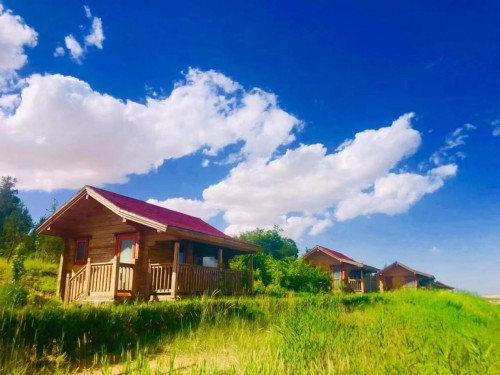 金沙葡萄酒业欲打造沙漠旅游暨葡萄酒特色小镇 助乡村经济发展