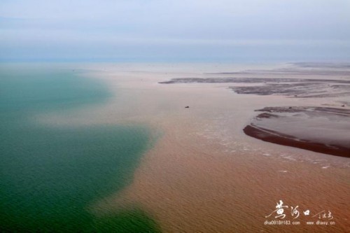 声名从此大 汩没一朝伸——2022东营市旅游发展大会侧记