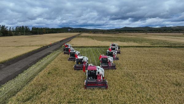 黑龙江饶河：脱贫攻坚引领乡村振兴 县域经济迎来发展新机遇