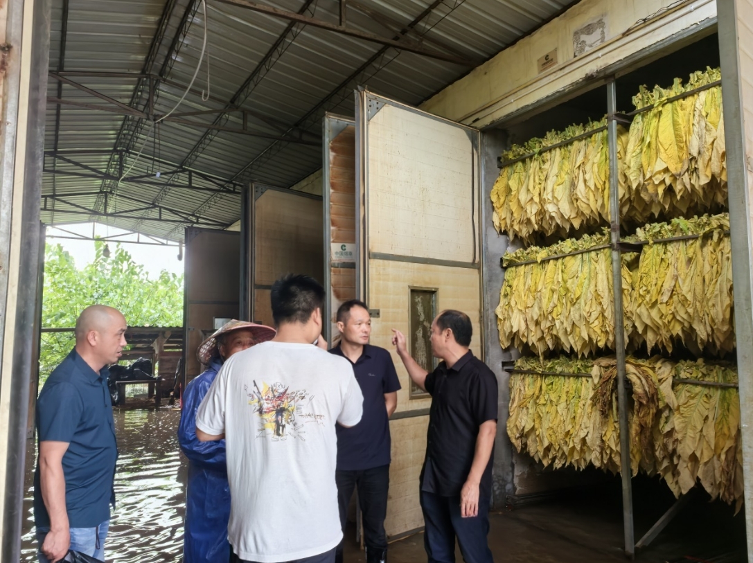 1719558113600366.png 1719558113600366.png