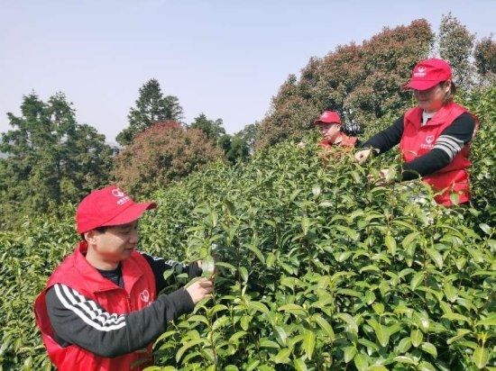 点亮“香溢”志愿活动“燎原之火”