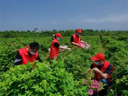 浙江长兴：直播助农助推农业发展